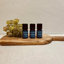 Load image into Gallery viewer, Scented Oils - Fall + Winter 22/23
